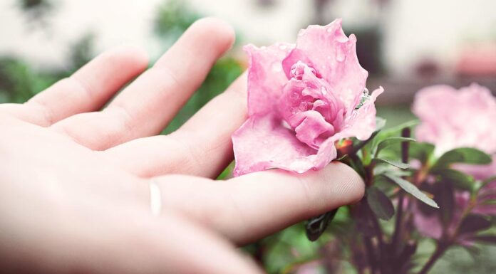 King Daughter Says Her Mother’s Papers Should Be Published